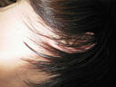 picture00044