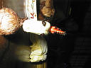 picture00048
