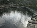 picture00019 113842byte