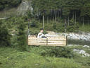 picture00022 106500byte