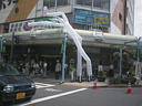 picture00181 95834byte