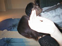 picture00104