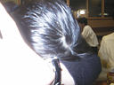 picture00031