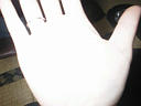 picture00098