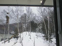 picture00006