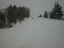 picture00010