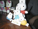 picture00027