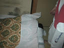 picture00001
