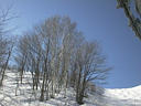 picture00012