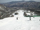 picture00047