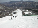 picture00049