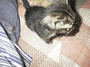 picture00001