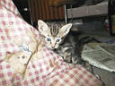 picture00002