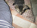 picture00003