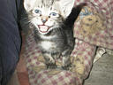 picture00004
