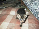 picture00005