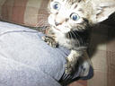 picture00006