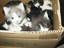 picture00012