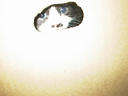 picture00013
