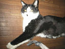 picture00014
