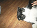 picture00015