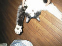 picture00016