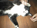 picture00017