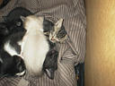 picture00018