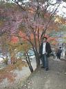 picture00008 158180byte