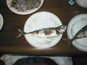 picture00007 37872byte
